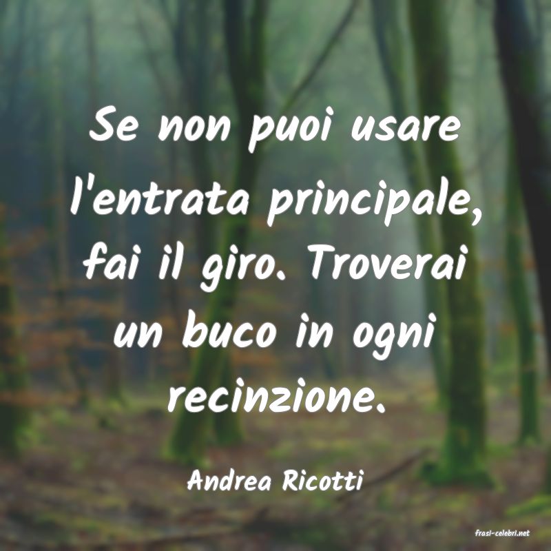 frasi di  Andrea Ricotti
