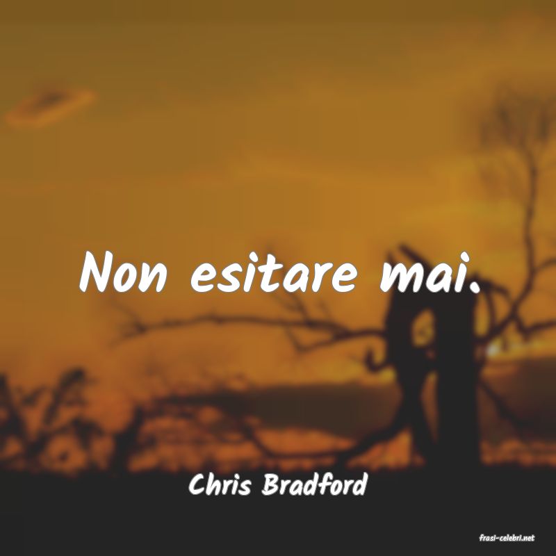 frasi di  Chris Bradford
