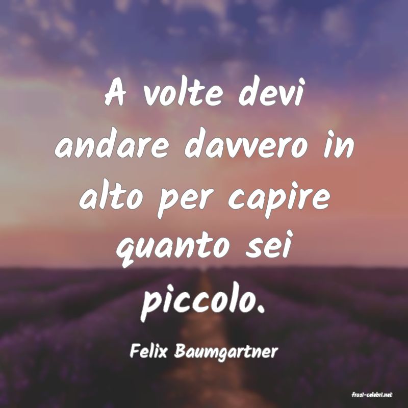 frasi di  Felix Baumgartner
