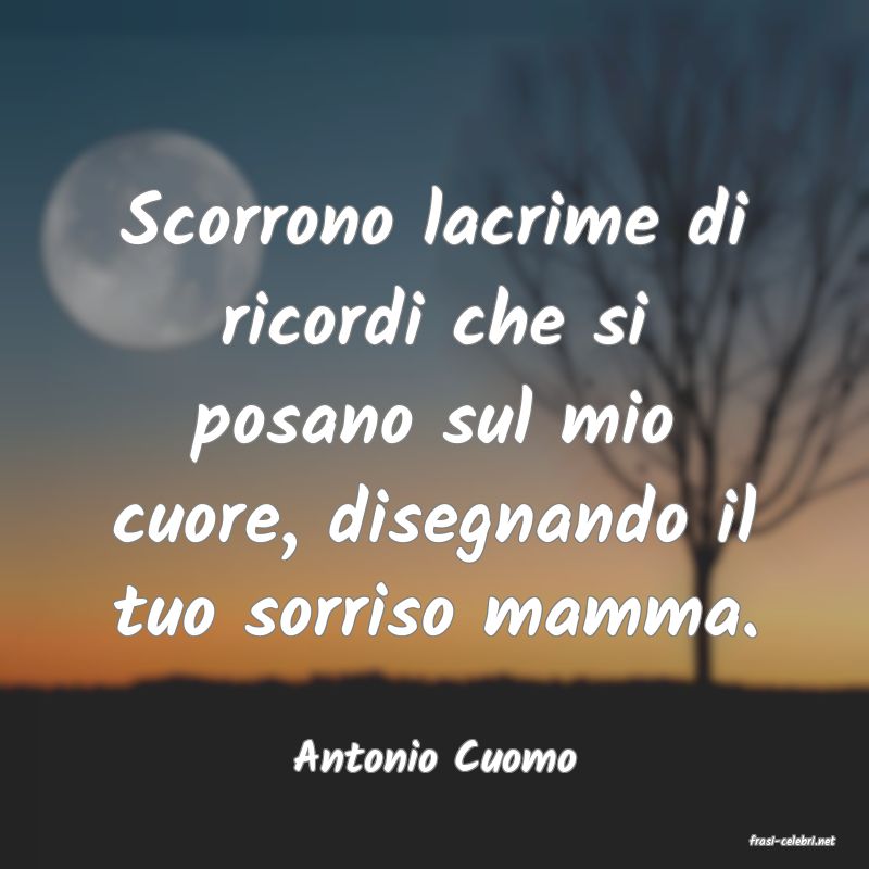 frasi di  Antonio Cuomo
