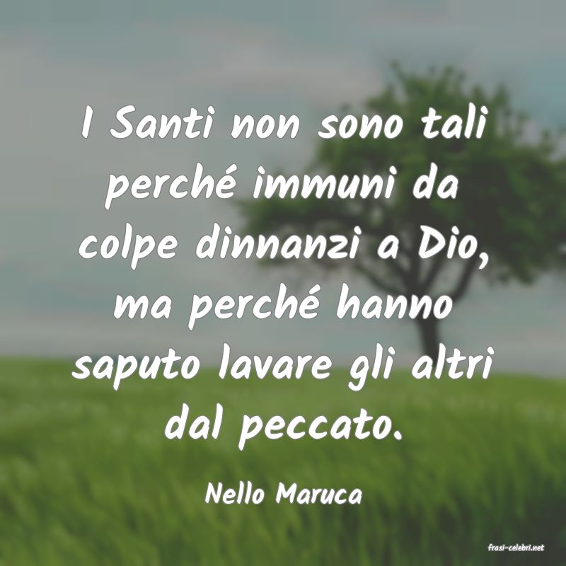 frasi di  Nello Maruca
