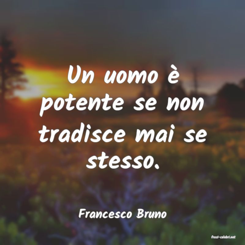 frasi di  Francesco Bruno
