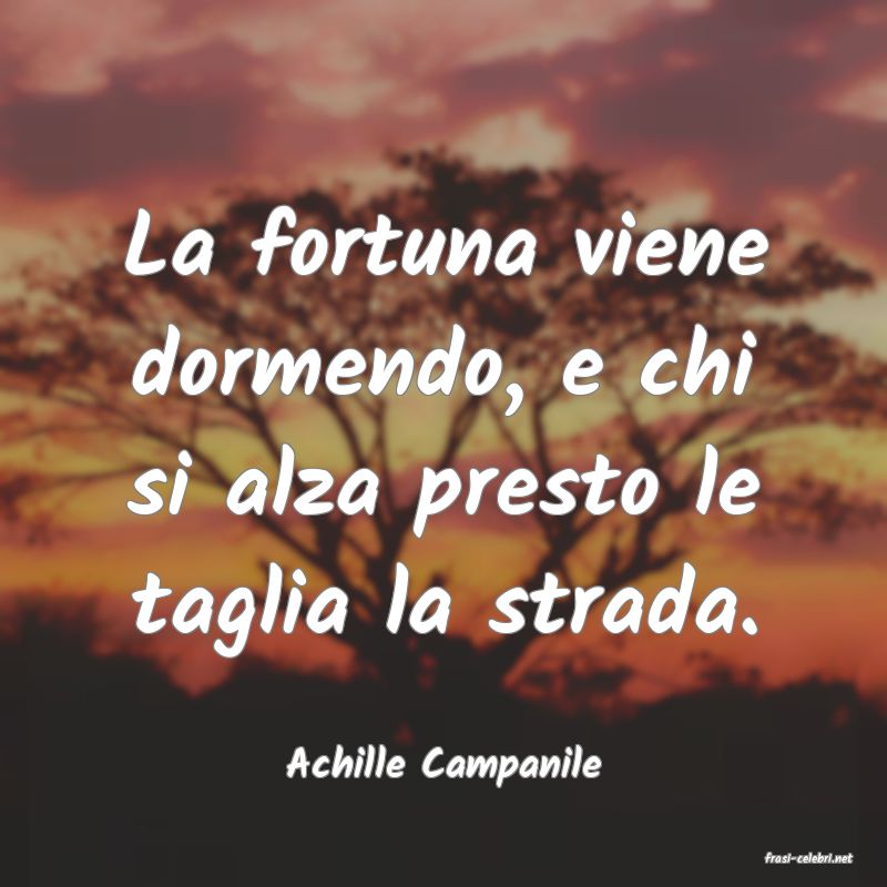 frasi di  Achille Campanile
