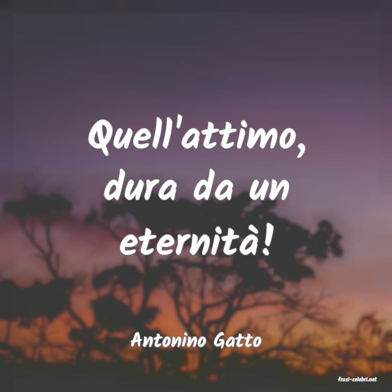 frasi di  Antonino Gatto

