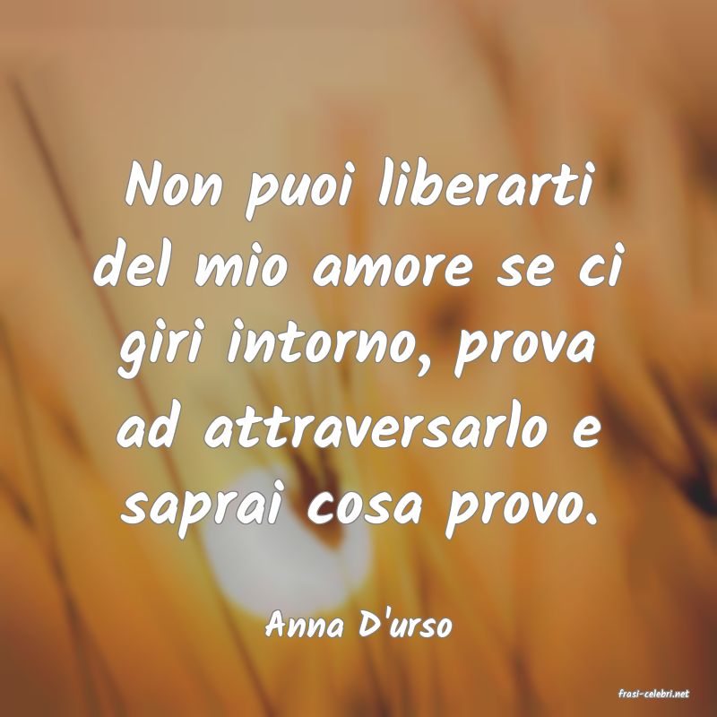 frasi di  Anna D'urso
