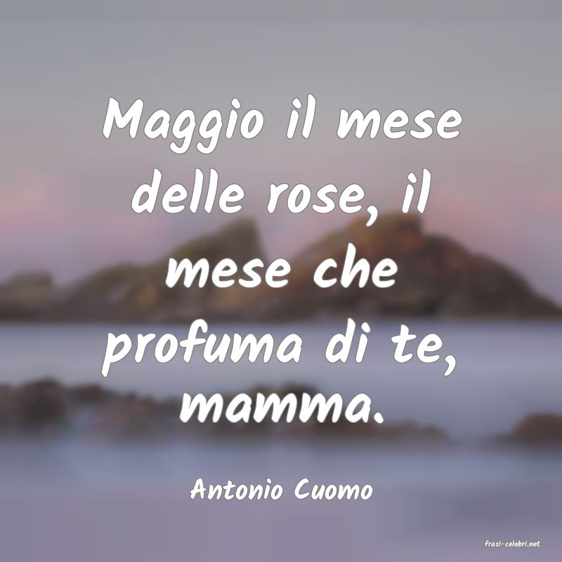 frasi di  Antonio Cuomo
