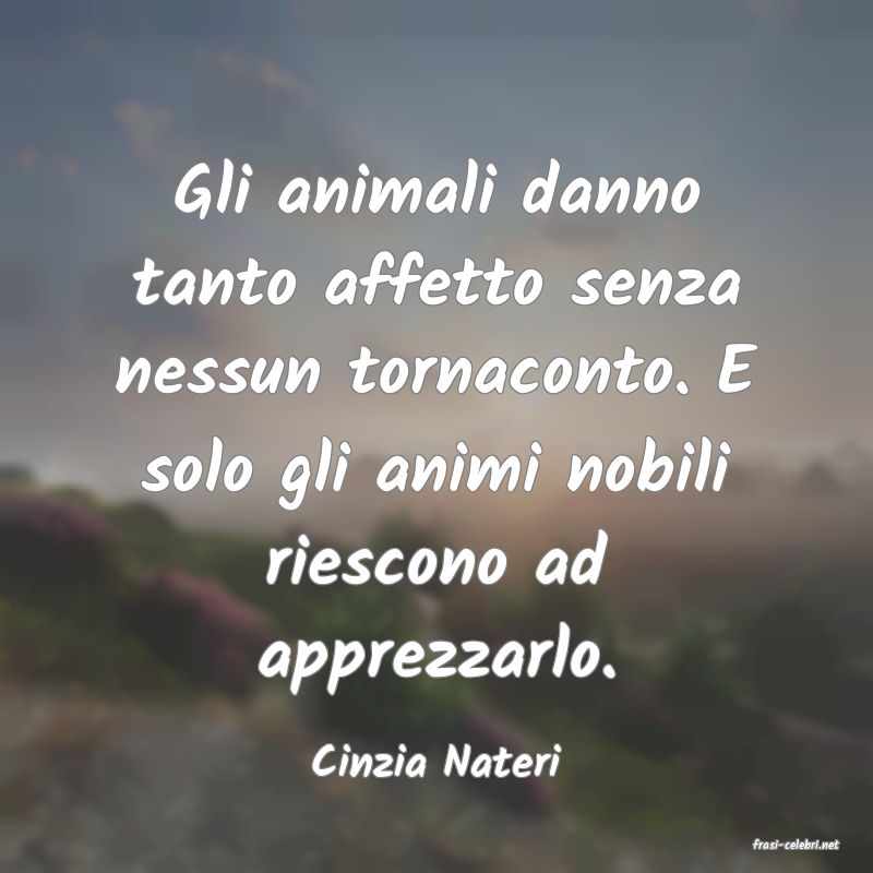 frasi di  Cinzia Nateri
