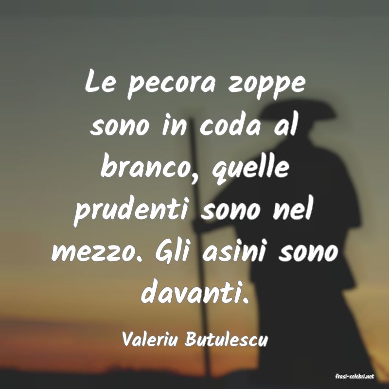 frasi di  Valeriu Butulescu
