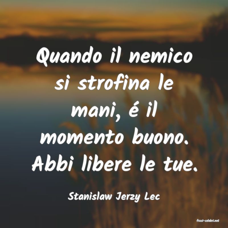 frasi di  Stanislaw Jerzy Lec

