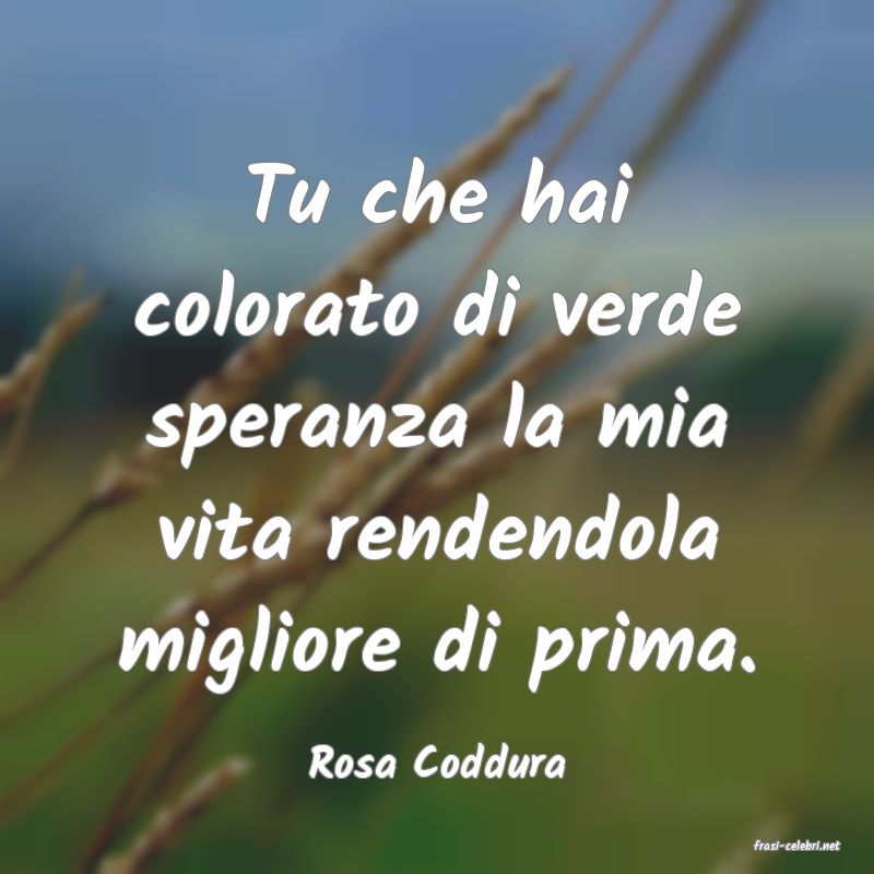 frasi di  Rosa Coddura
