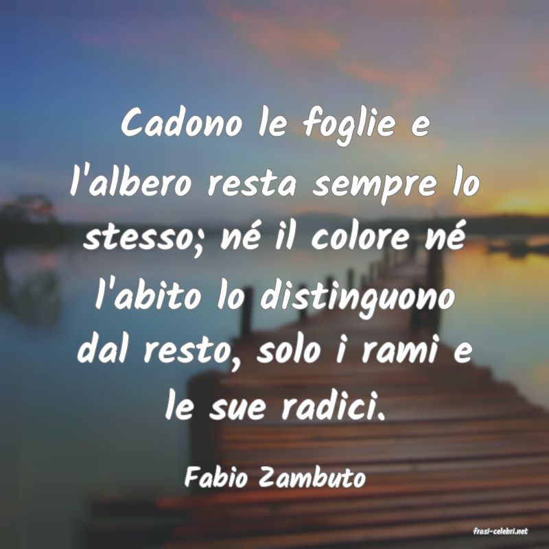 frasi di  Fabio Zambuto
