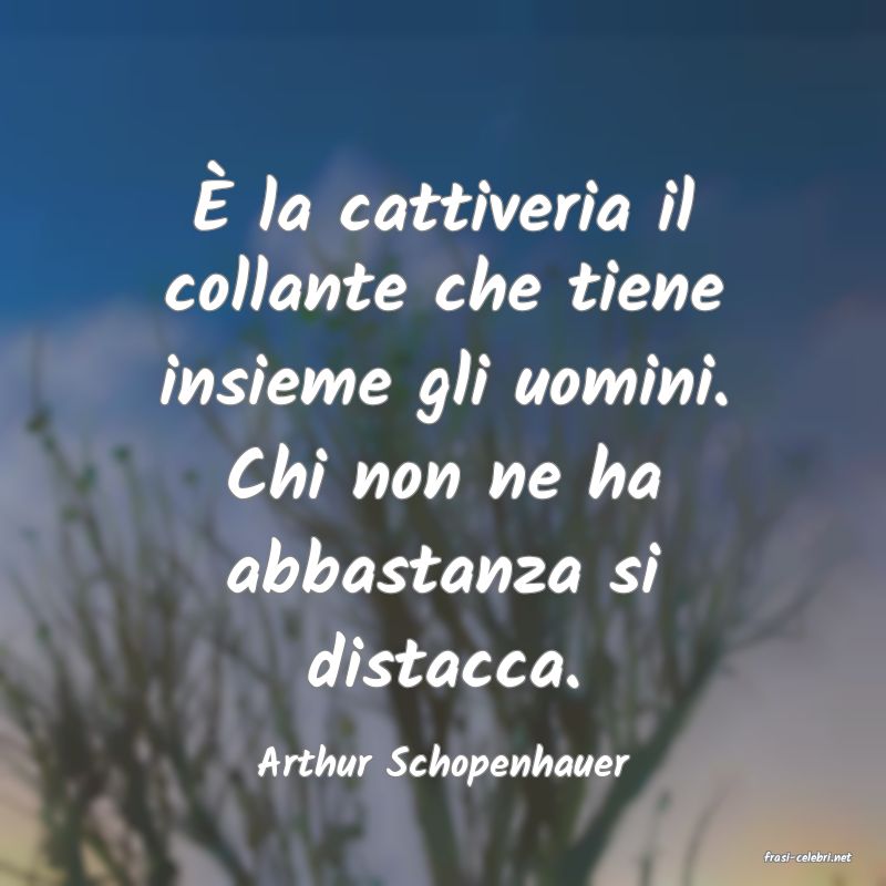 frasi di  Arthur Schopenhauer
