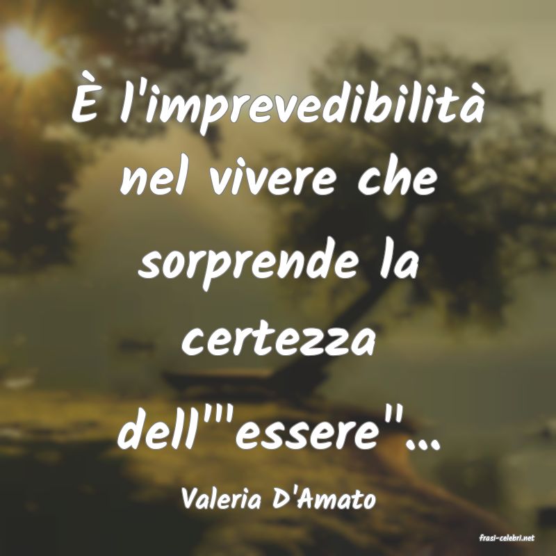 frasi di Valeria D'Amato