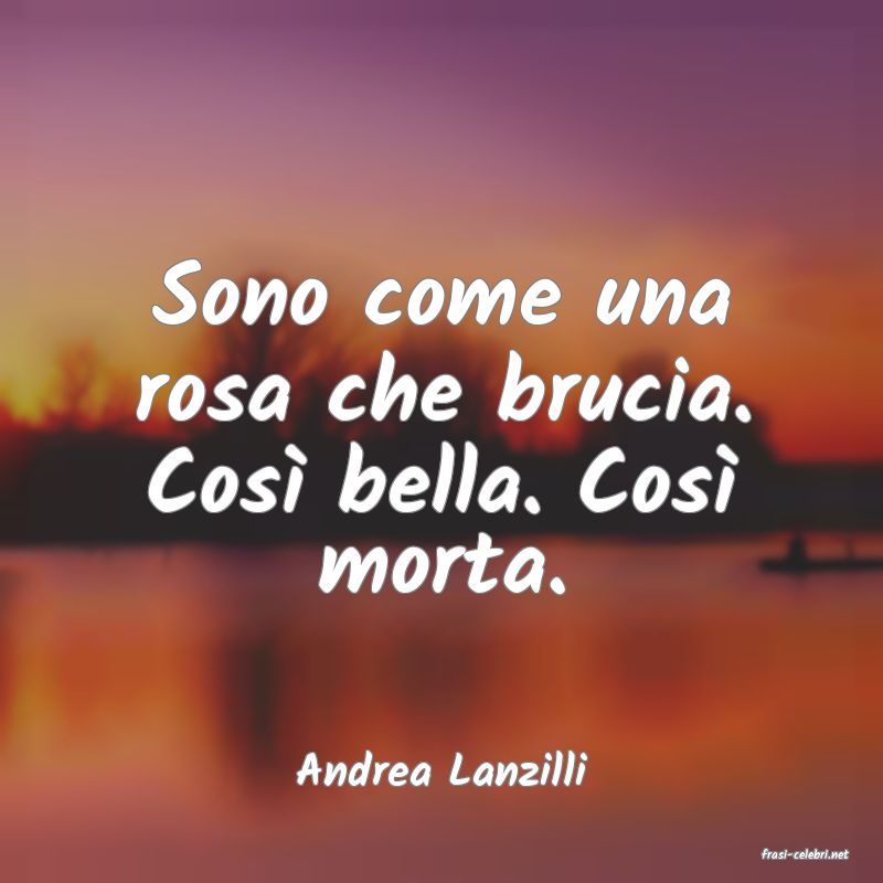 frasi di  Andrea Lanzilli
