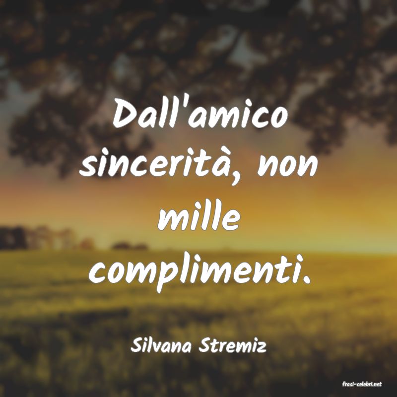 frasi di  Silvana Stremiz
