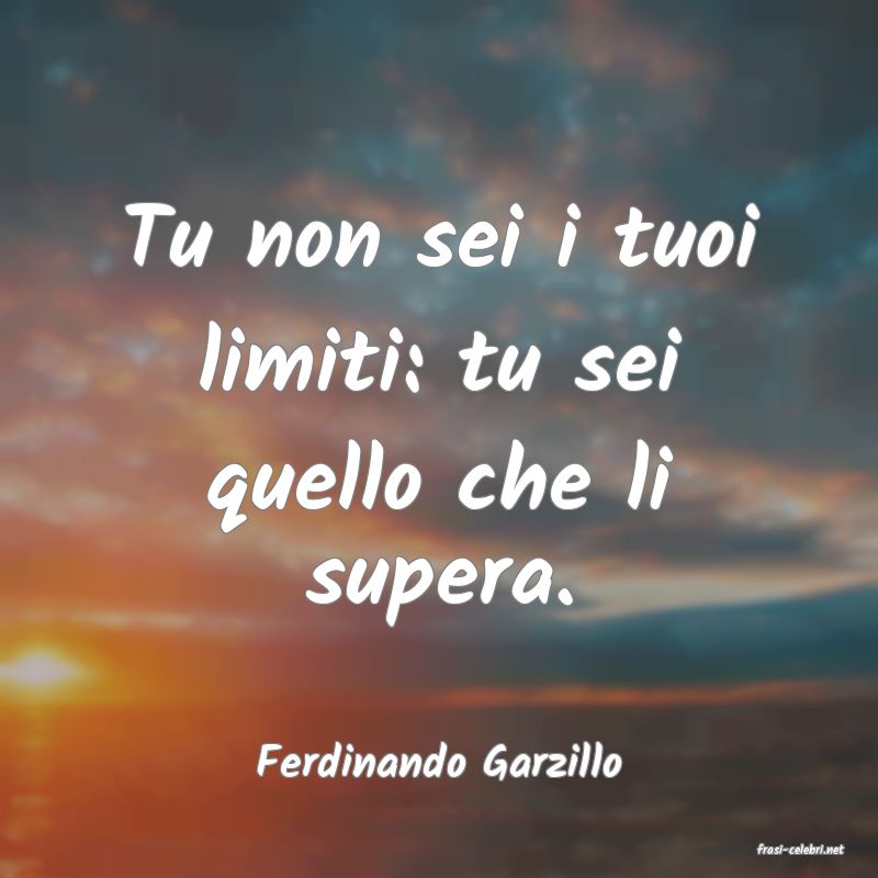 frasi di  Ferdinando Garzillo

