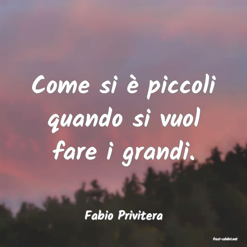 frasi di  Fabio Privitera

