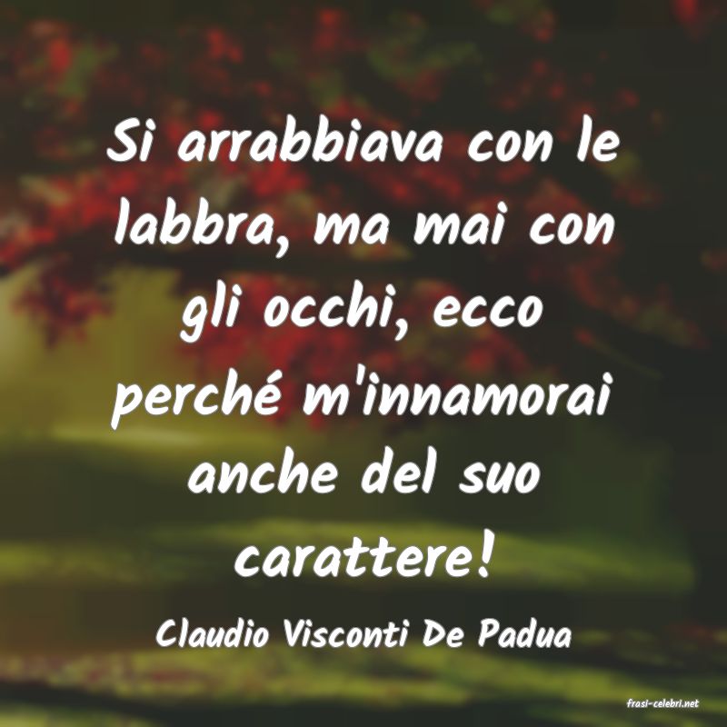 frasi di  Claudio Visconti De Padua

