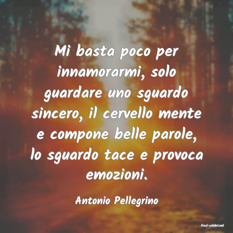 frasi di  Antonio Pellegrino
