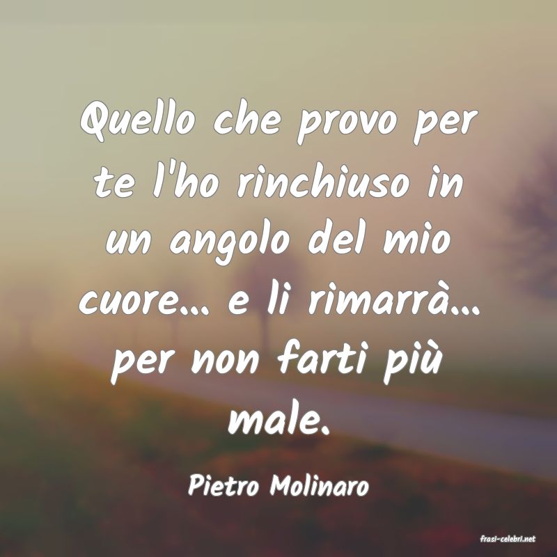 frasi di  Pietro Molinaro

