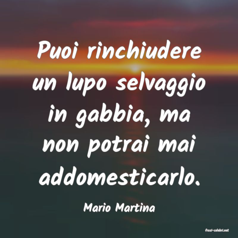 frasi di  Mario Martina
