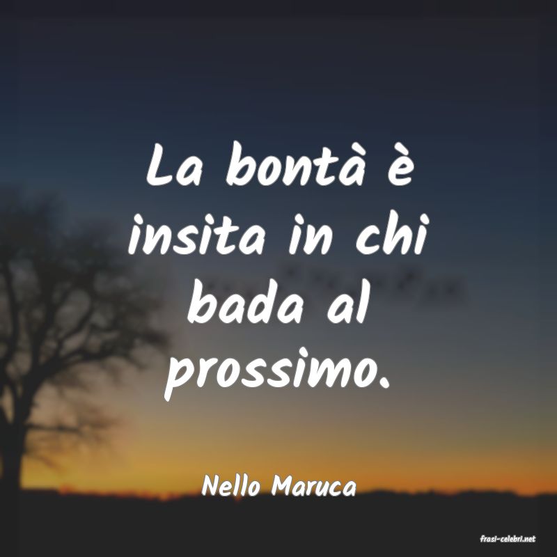 frasi di  Nello Maruca
