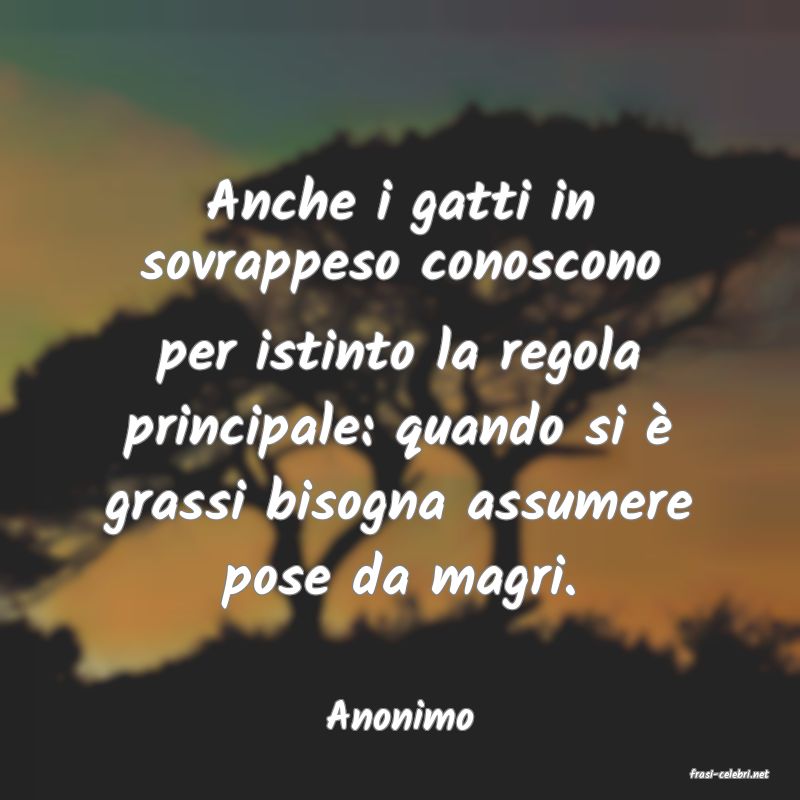 frasi di Anonimo