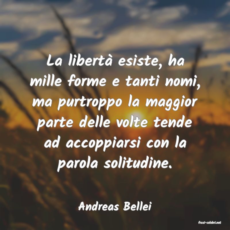 frasi di Andreas Bellei