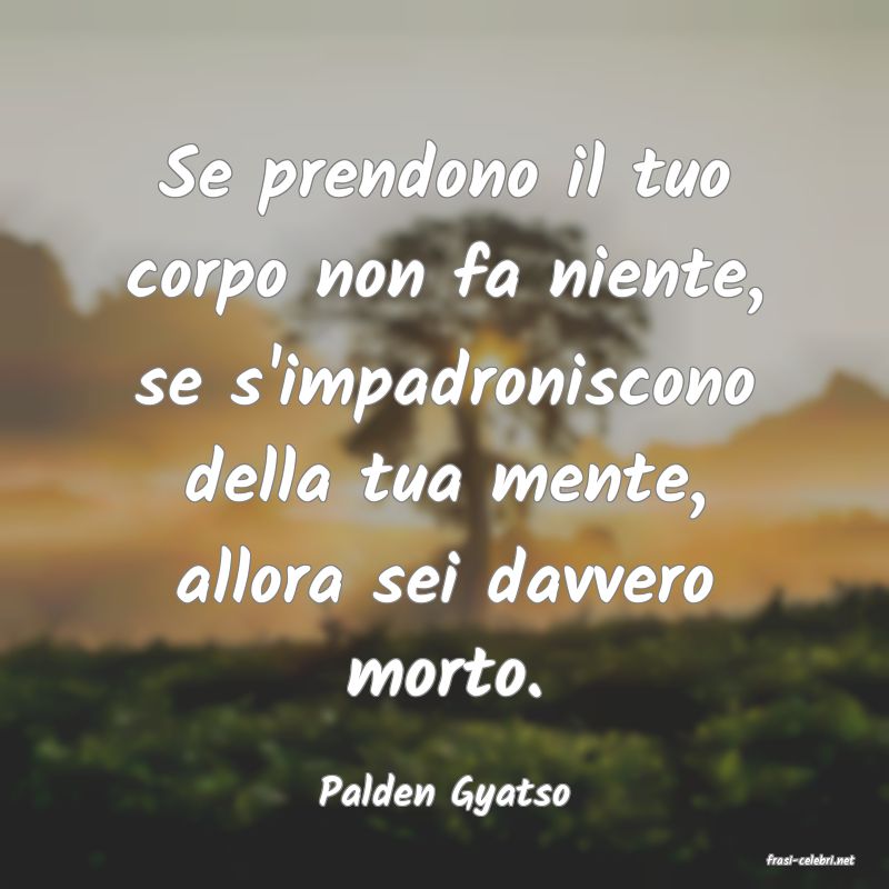 frasi di Palden Gyatso