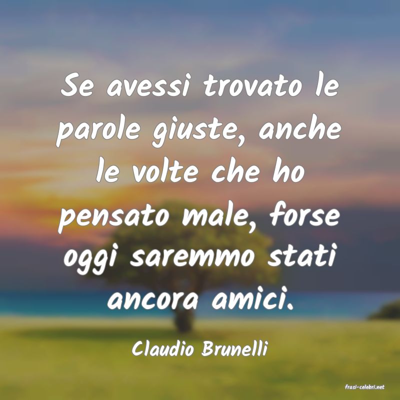 frasi di  Claudio Brunelli
