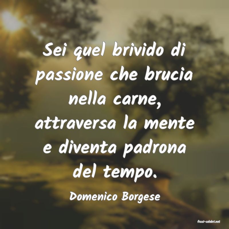 frasi di  Domenico Borgese
