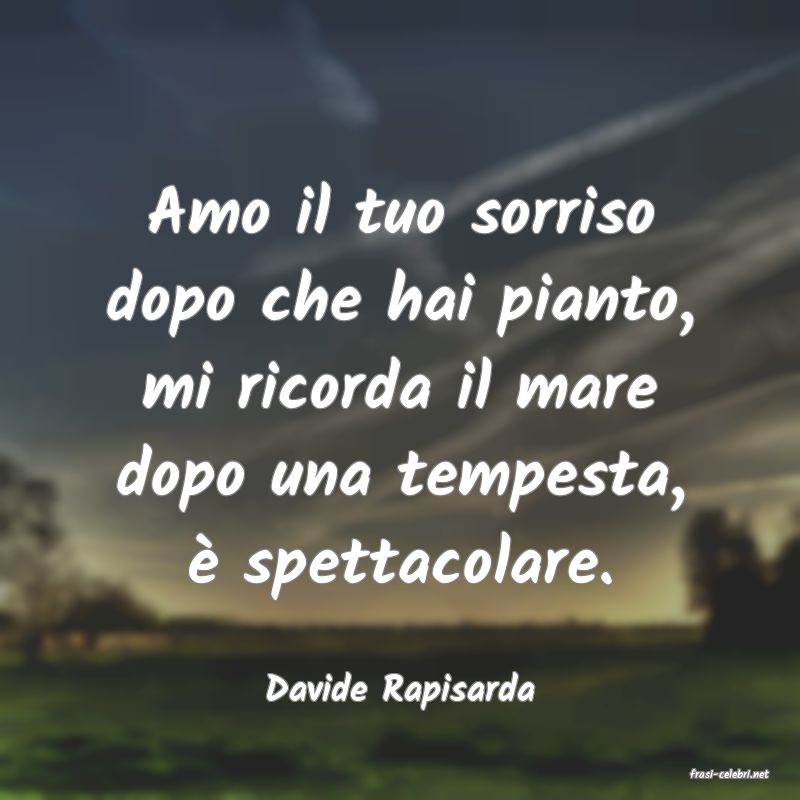 frasi di  Davide Rapisarda
