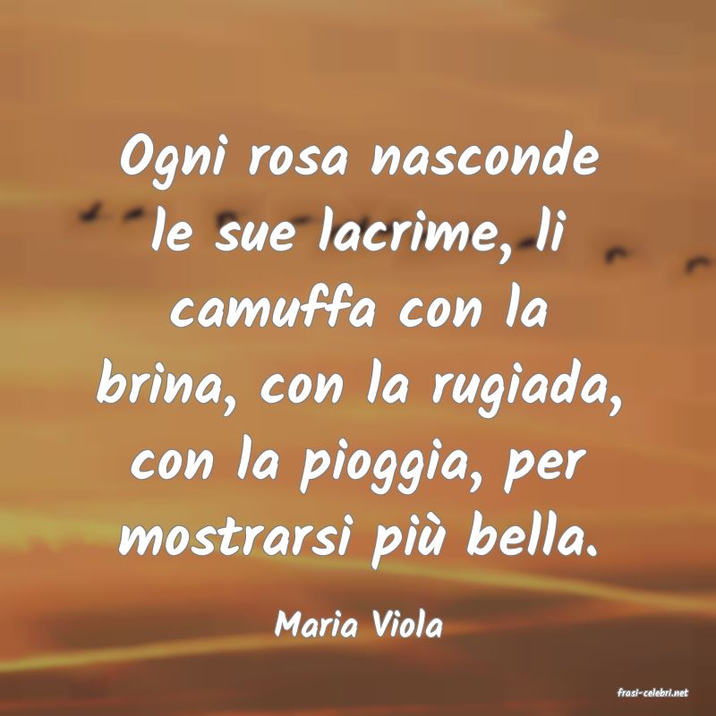 frasi di  Maria Viola
