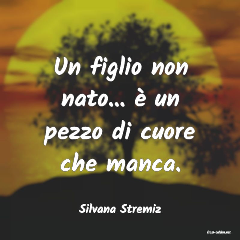 frasi di  Silvana Stremiz
