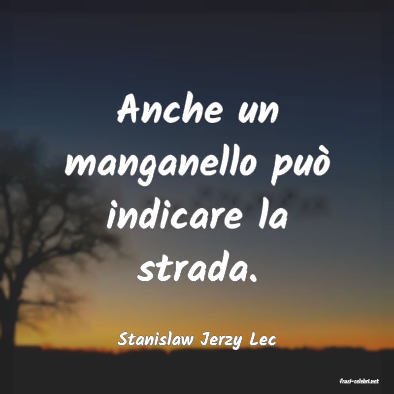 frasi di  Stanislaw Jerzy Lec
