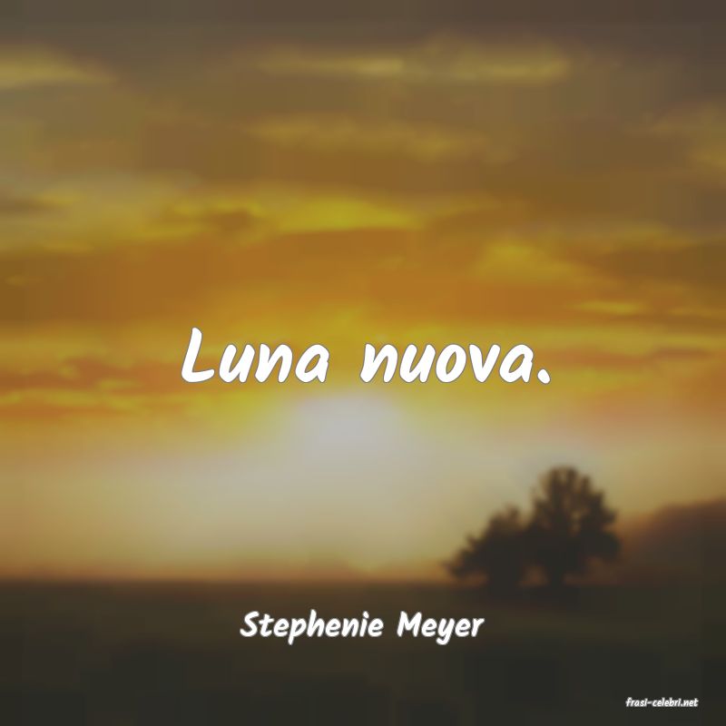 frasi di  Stephenie Meyer
