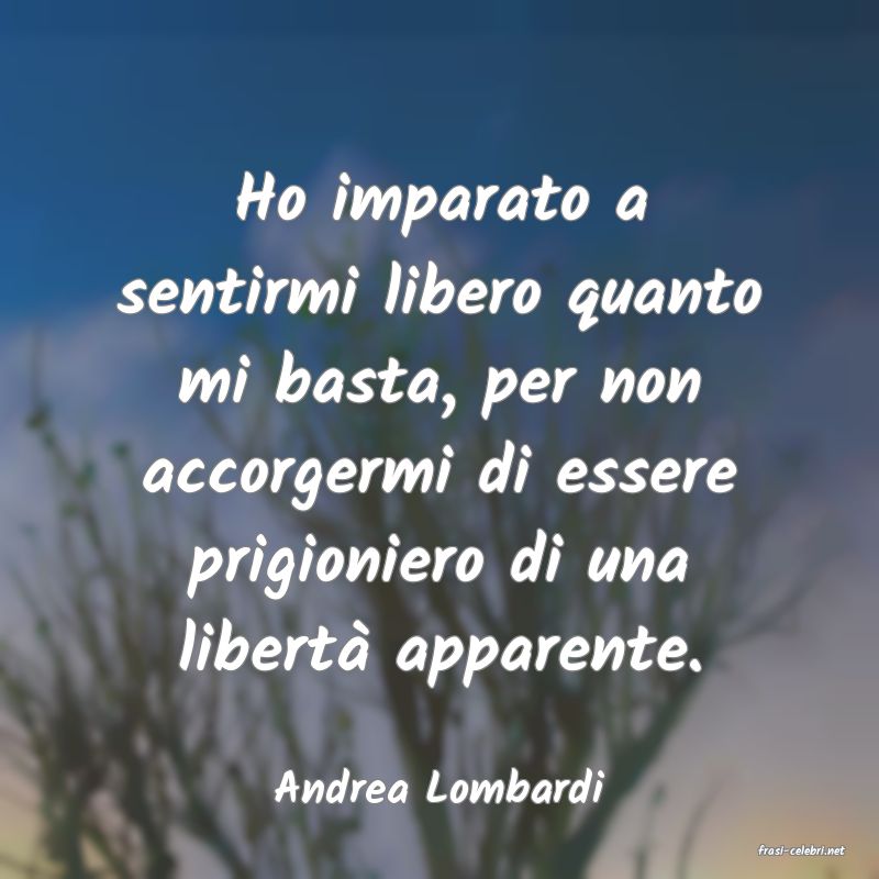 frasi di Andrea Lombardi
