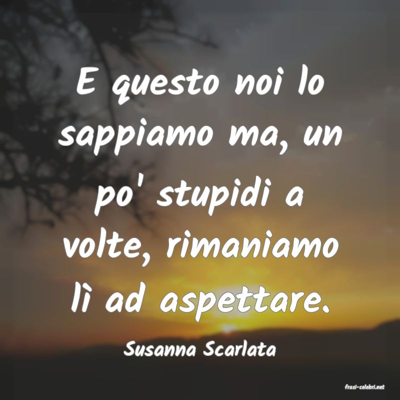 frasi di  Susanna Scarlata
