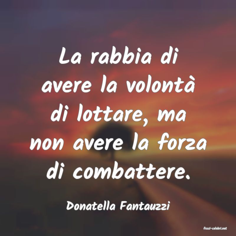 frasi di  Donatella Fantauzzi
