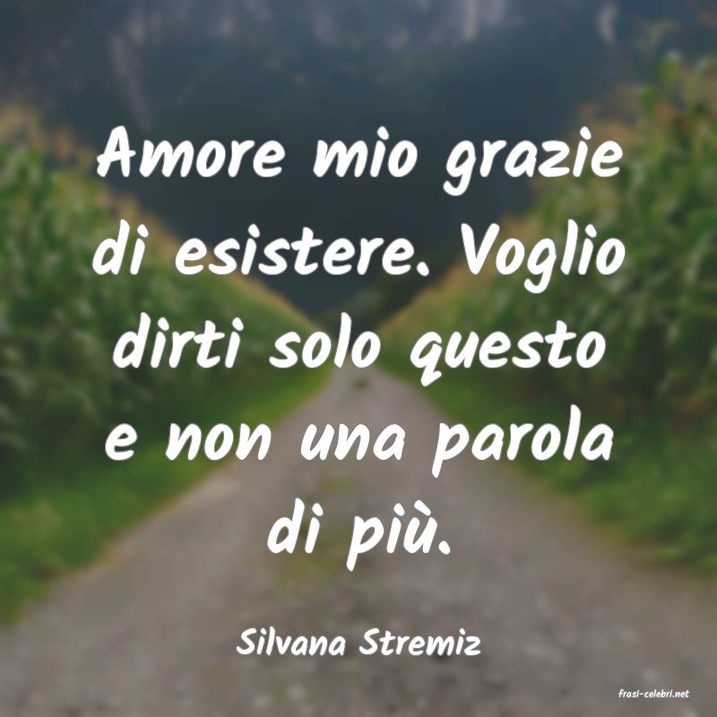 frasi di Silvana Stremiz