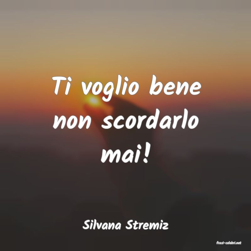 frasi di Silvana Stremiz
