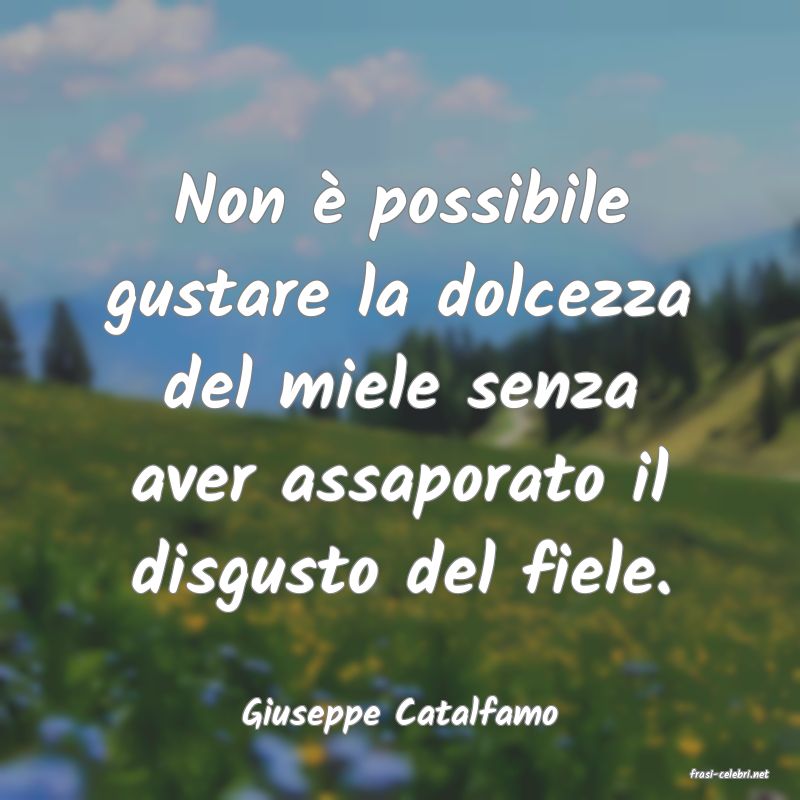 frasi di Giuseppe Catalfamo