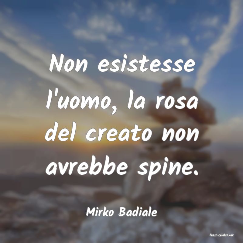 frasi di  Mirko Badiale
