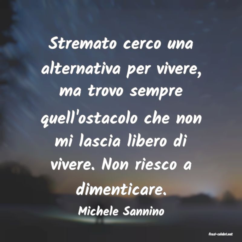 frasi di  Michele Sannino
