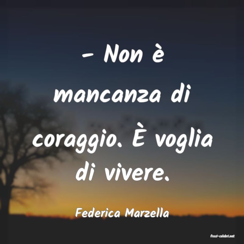 frasi di  Federica Marzella
