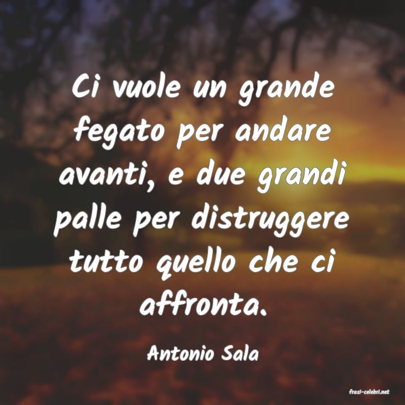 frasi di  Antonio Sala

