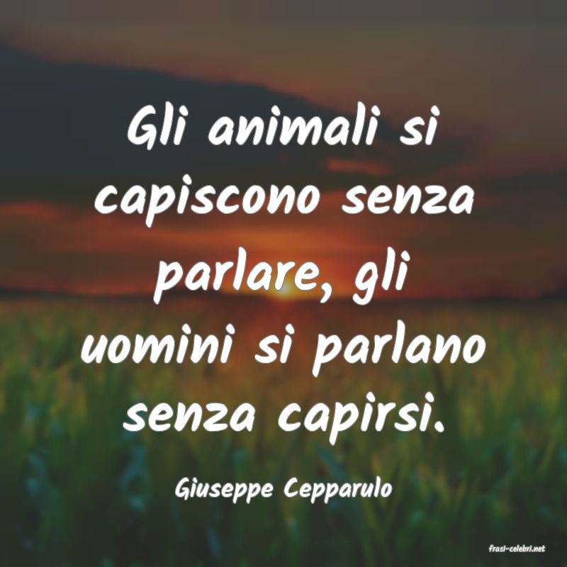 frasi di  Giuseppe Cepparulo
