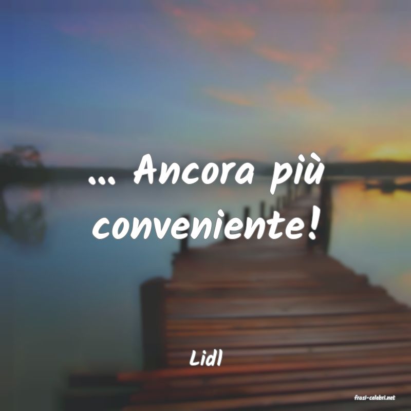 frasi di  Lidl
