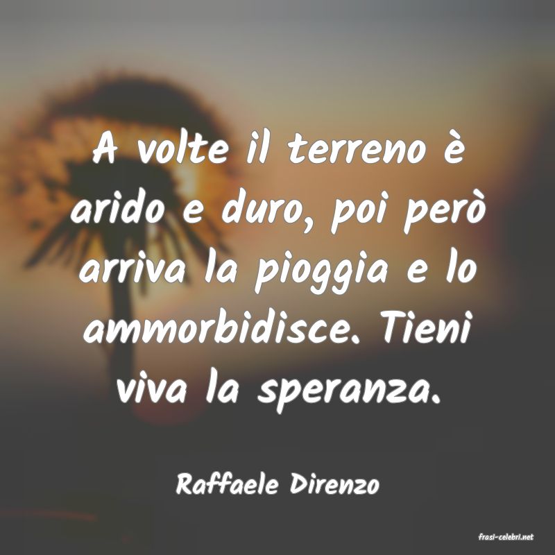 frasi di  Raffaele Direnzo
