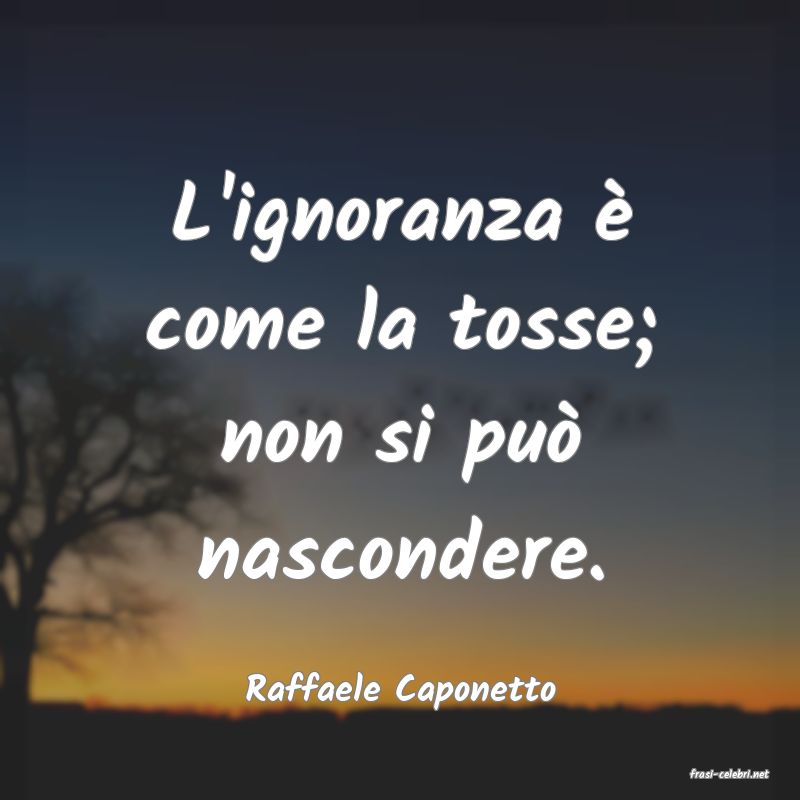 frasi di  Raffaele Caponetto
